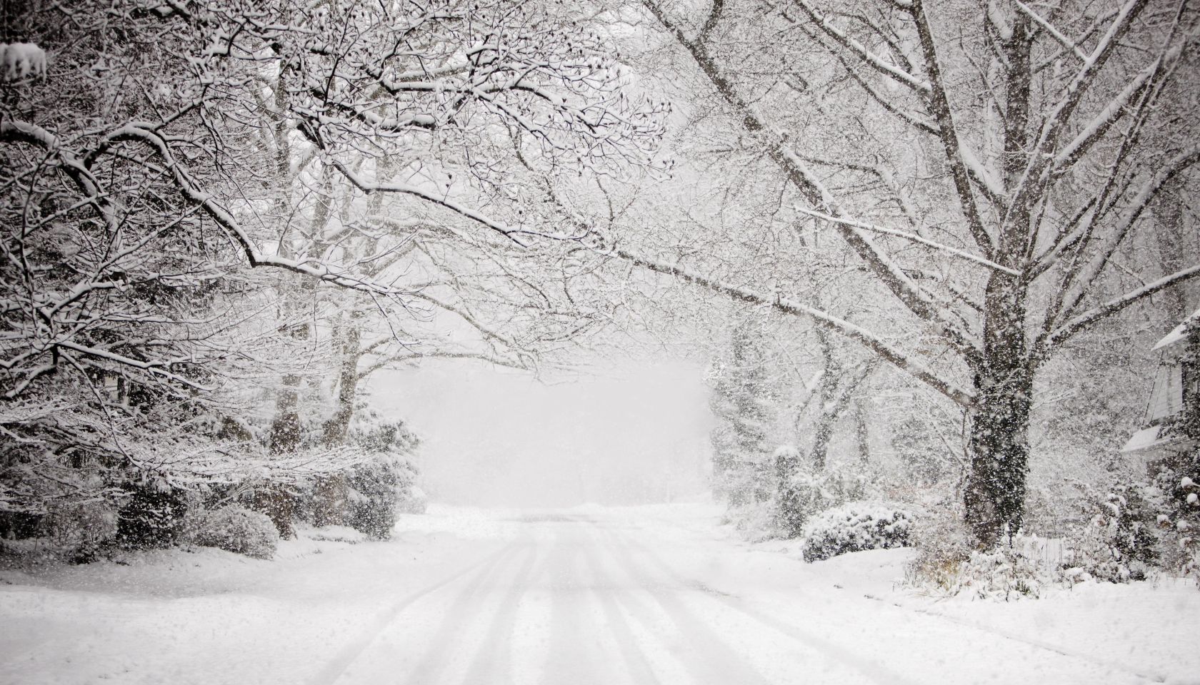 Snowy road in snow storm.