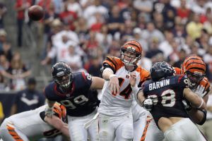 Wild Card Playoffs - Cincinnati Bengals v Houston Texans