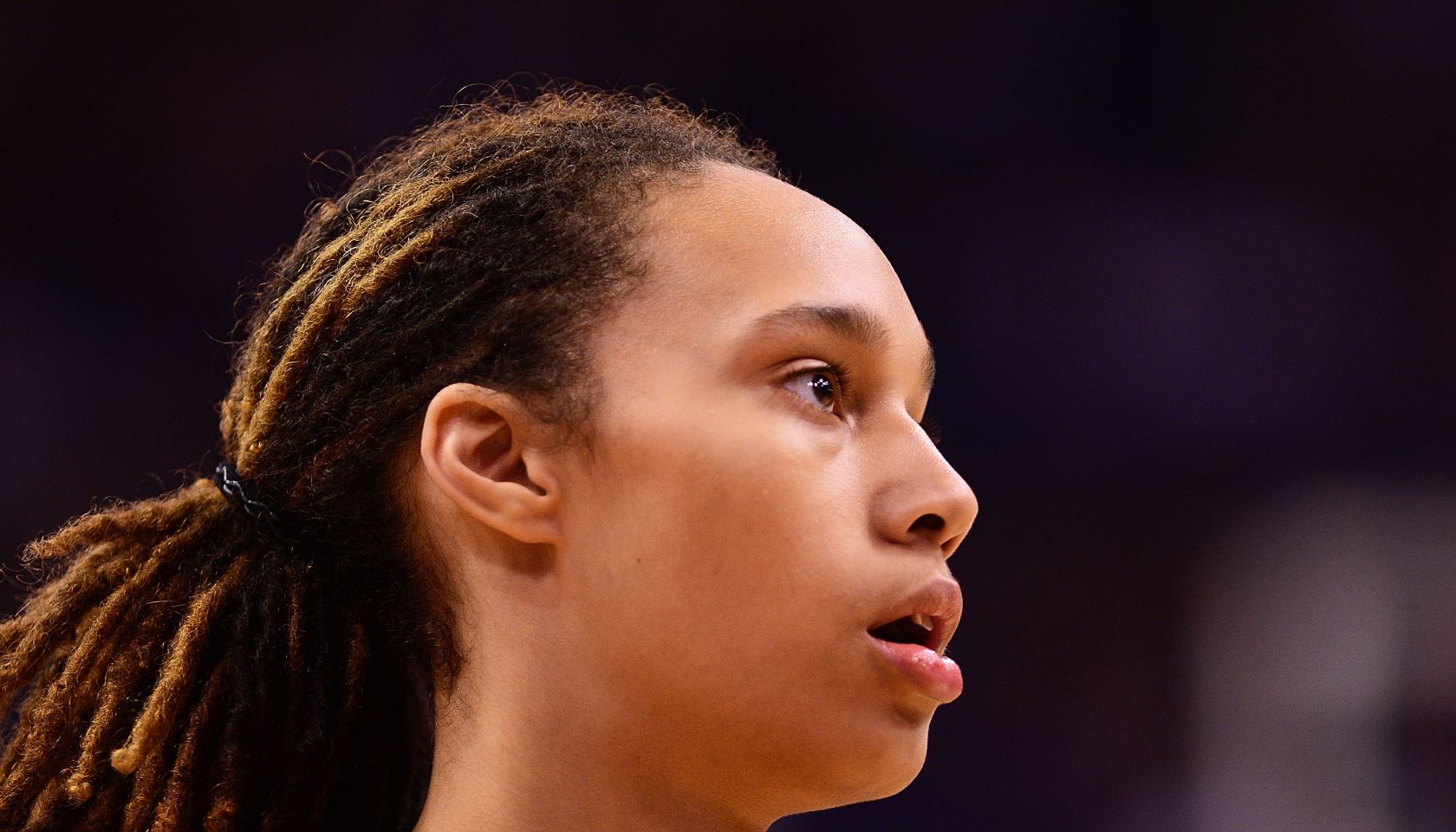 2014 WNBA Finals - Game One