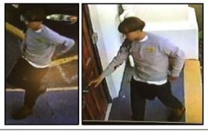 Suspect in Emanuel AME Church shooting