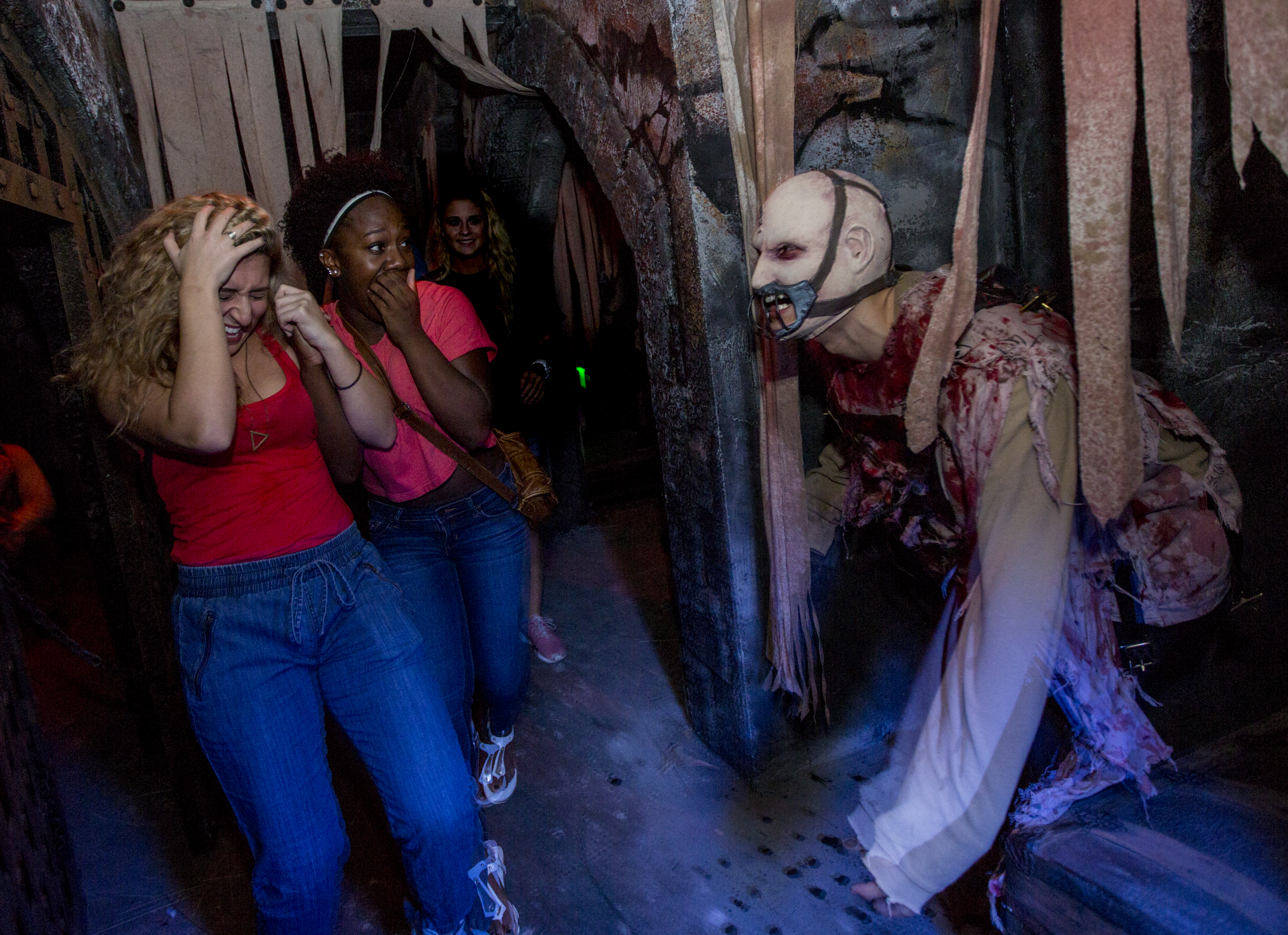 Body Collectors Universal Orlando Halloween Horror nights
