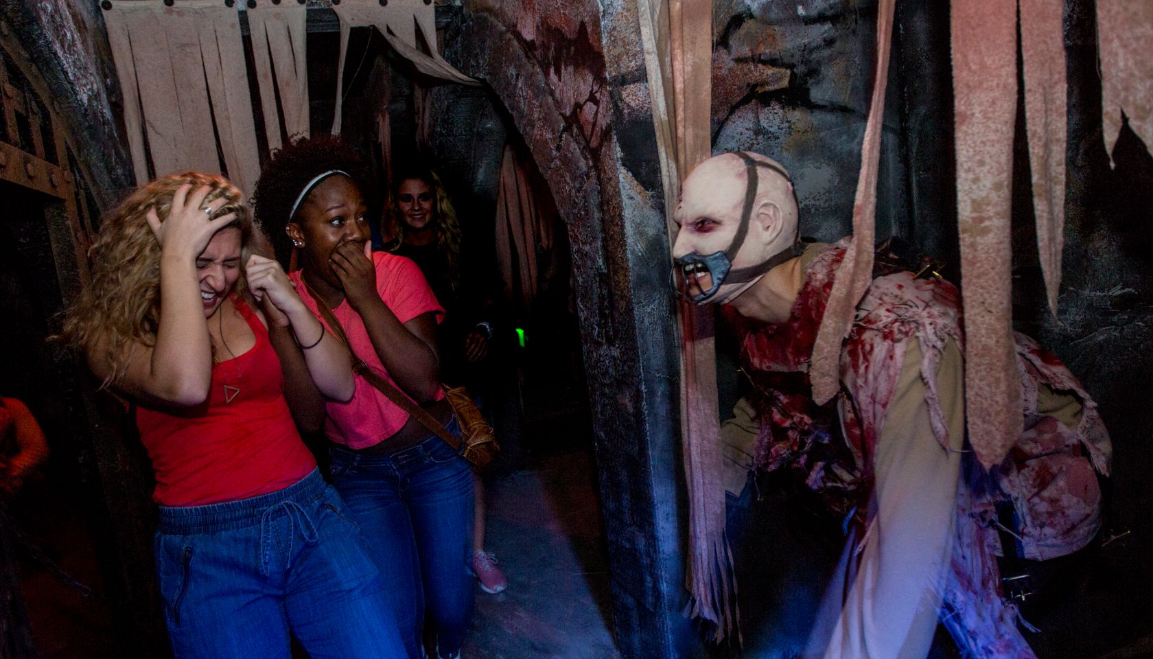 Body Collectors Universal Orlando Halloween Horror nights