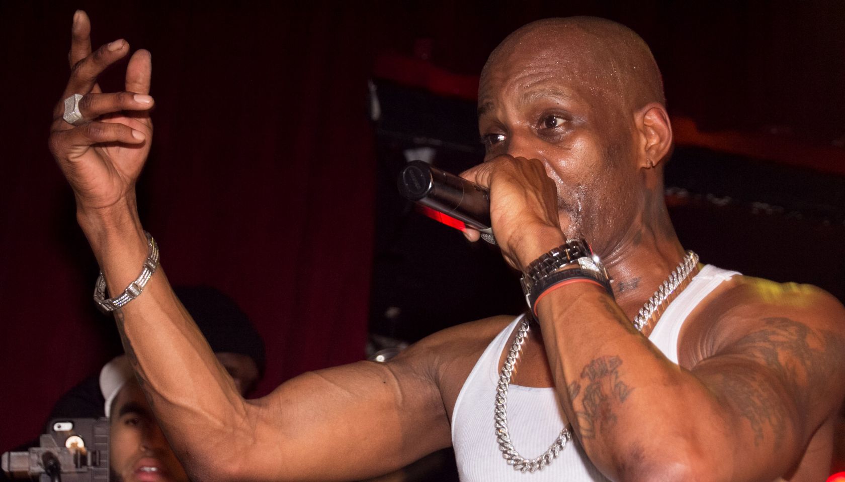 DMX In Concert - New York, NY
