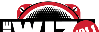Wiznation logo