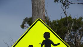 School crossing road warning sign