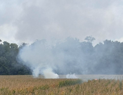 Anderson Plane Crash Wreckage