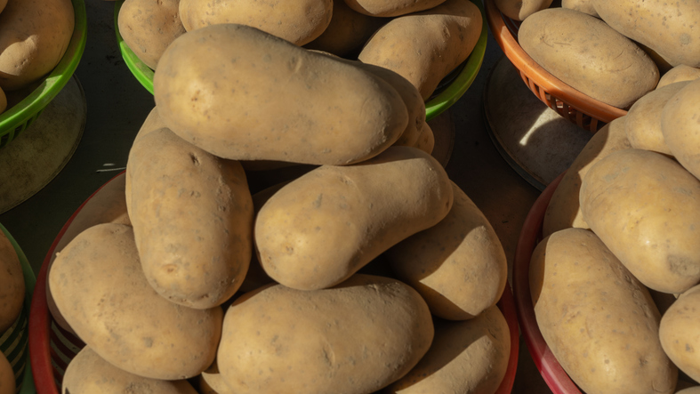 Beautiful large potatoes displayed at the market, showcasing fresh, organic farm products. Perfect for healthy meals, these earthy vegetables highlight the essence of sustainable farming.