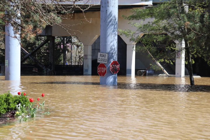 2025 Ohio River Flooding Downtown Cincinnati