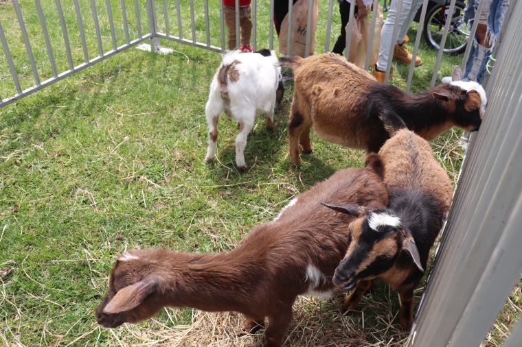 Radio One Cincinnati 1st Annual Spring Fling