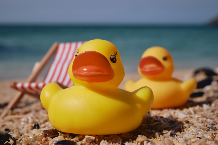 Rubber ducks on a beach holiday in Cornwall. Photographed on Pedn Vounder Beach on a sunny day.