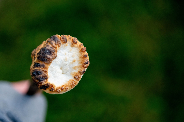 Close-up of toasted campfire marshmallow against a blurred green backdrop