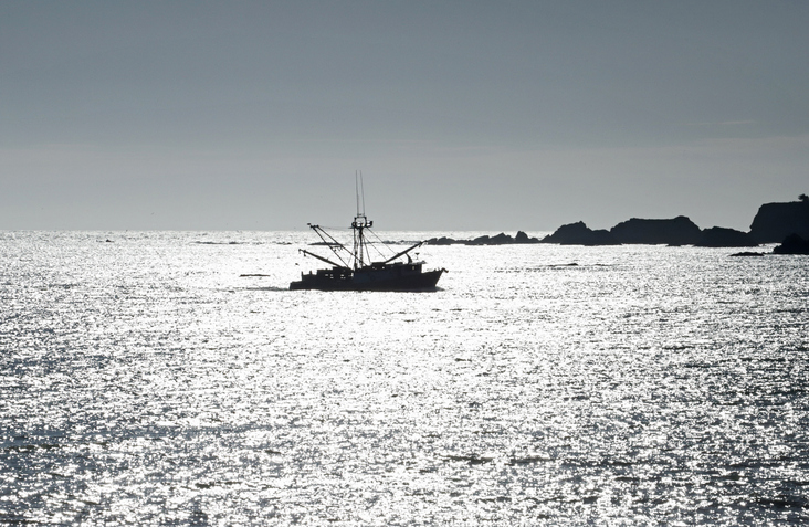 Fishing Trawler, Brookings, Oregon