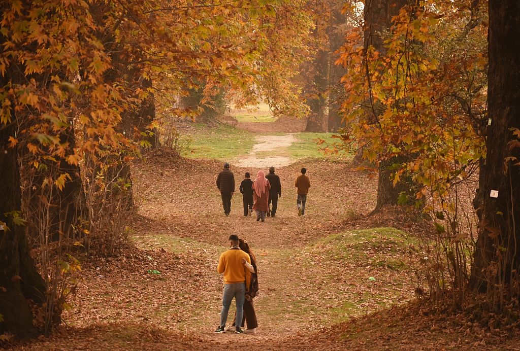 Autumn season in Kashmir
