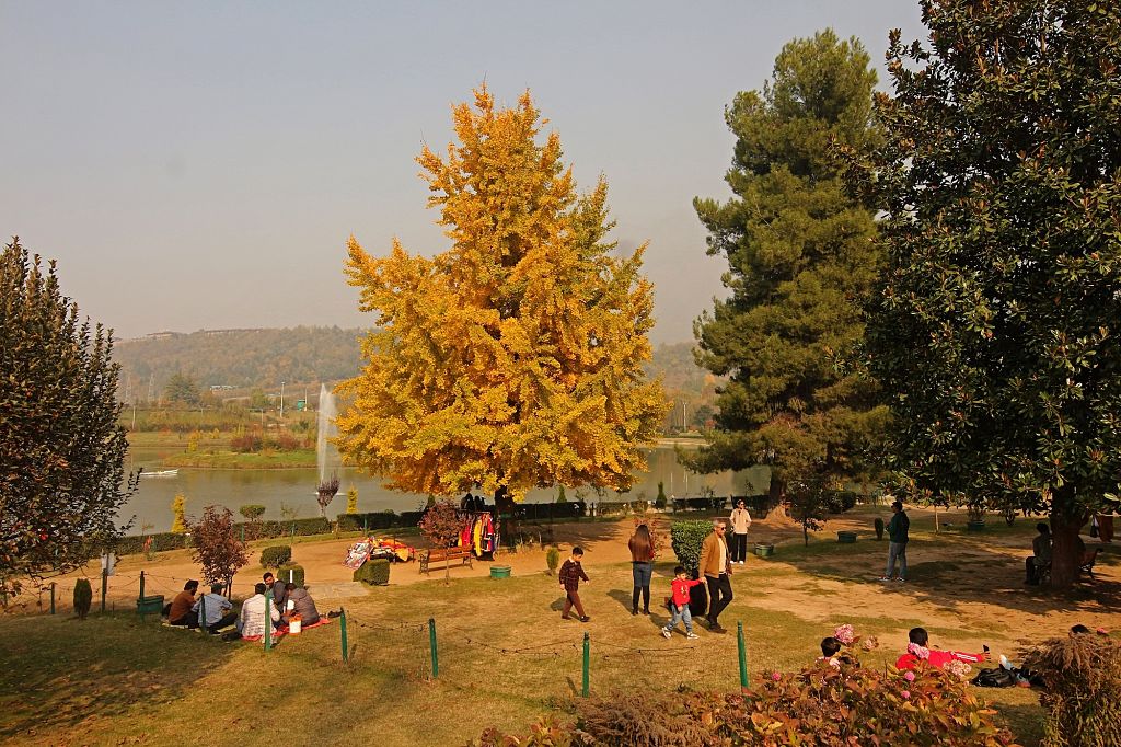 Autumn season in Kashmir