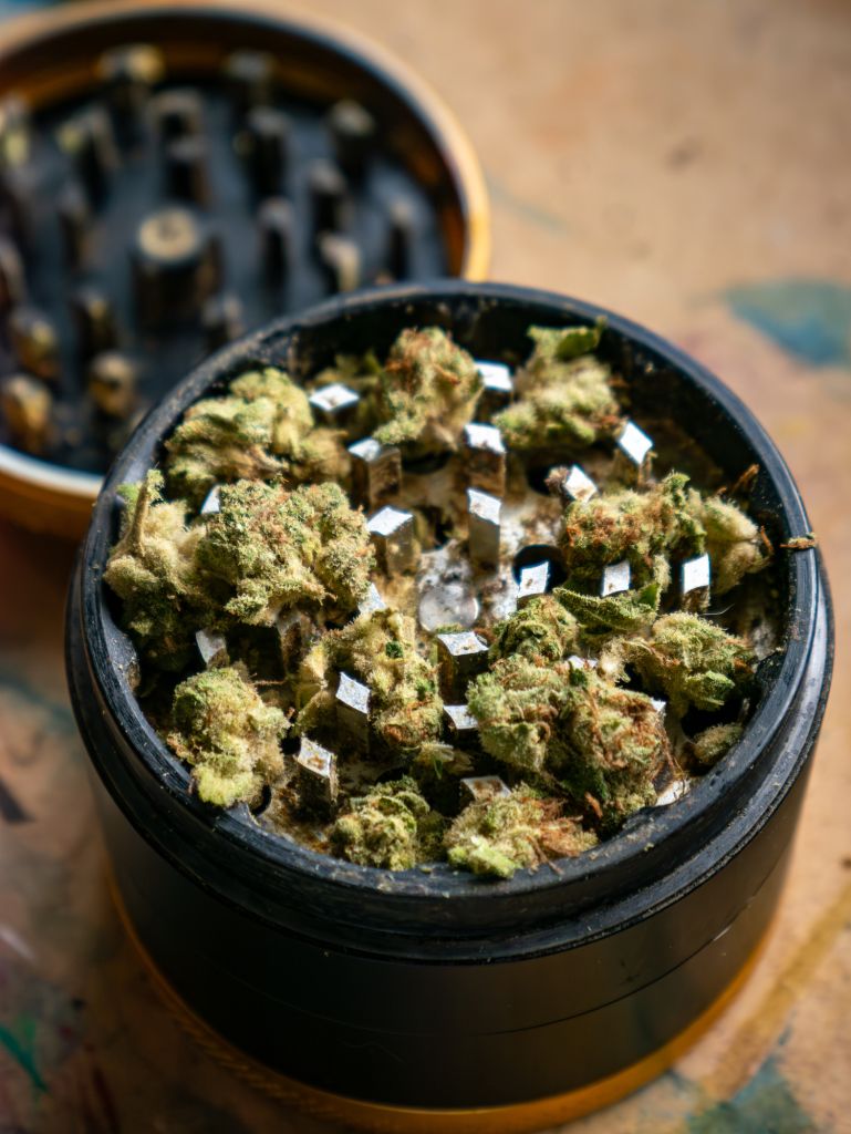 Cannabis Marijuana Buds in Metal Herb Grinder Close-Up Medical Recreational Drug Preparation