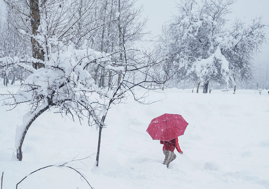 Snowstorm In Himalayas