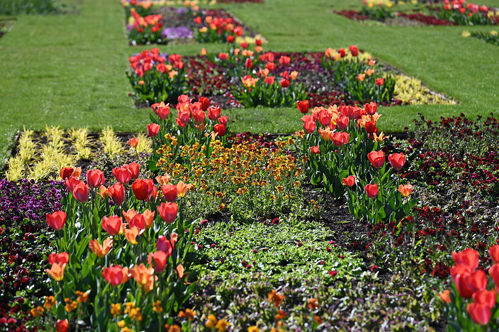 Site in front of the State Garden Show in Neuss