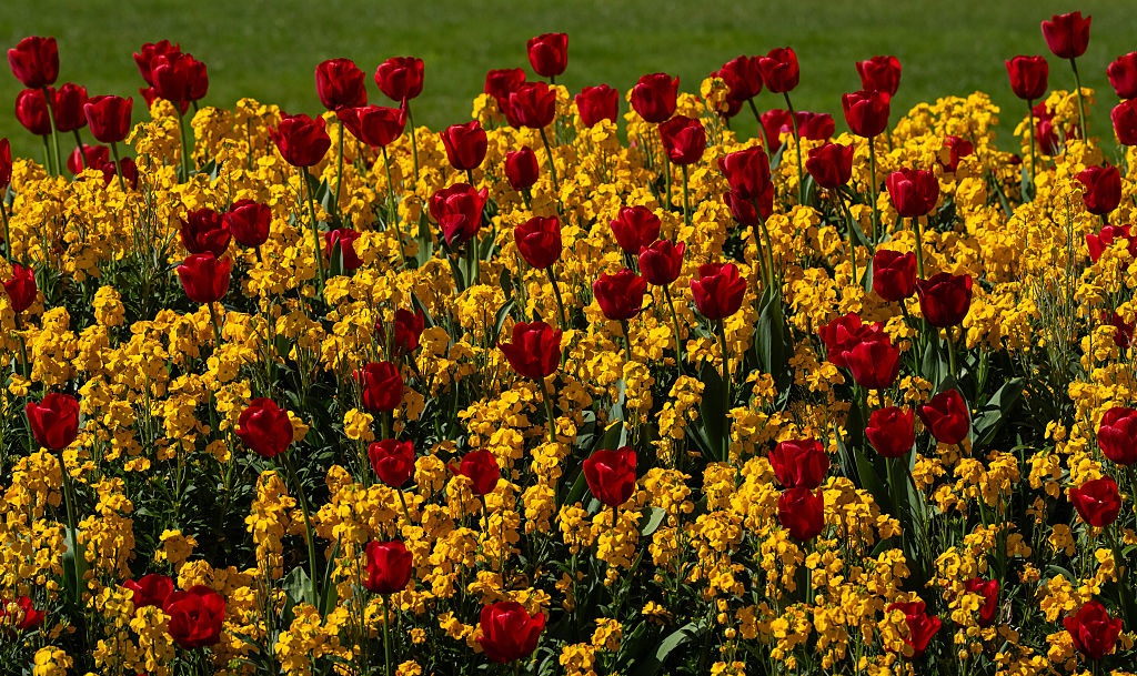 London Enjoys Warm Spell With Above Average Temperatures For Early April