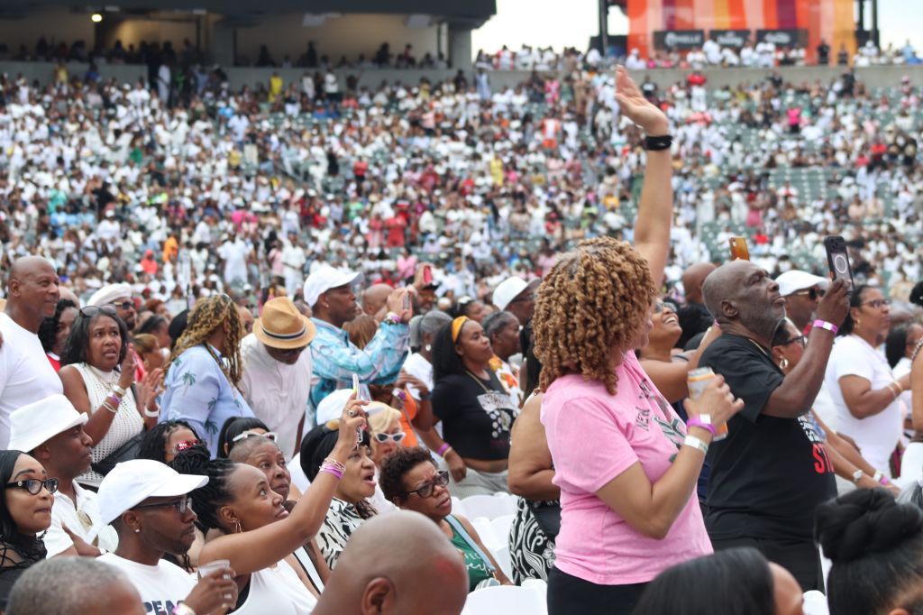 A large crowd of people at an outdoor event, with many individuals raising their arms and cheering enthusiastically.